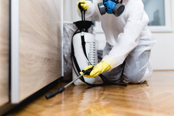 Wasp Removal Services in Arlington Heights, WA