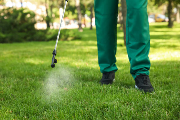 Best Rat Extermination Near Me  in Arlington Heights, WA
